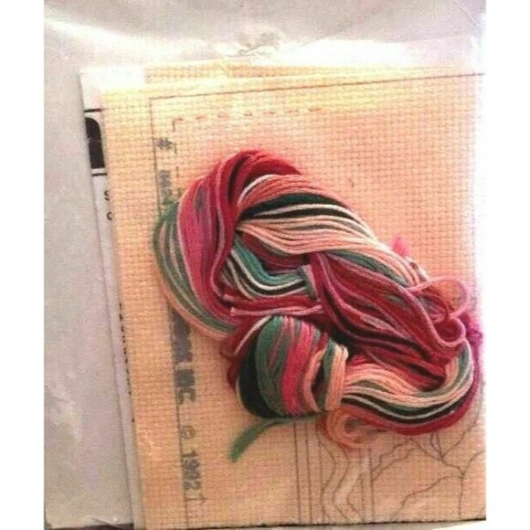 Cross Stitch Kit Dimensions Flowering Cactus Stamp Pattern 6624 No Count 7×5 VTG - Picture 2 of 3